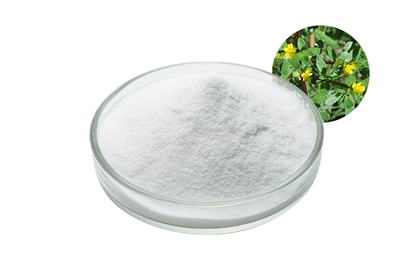 Portulaca Oleracea Oligopeptide
